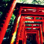 [Avatar]