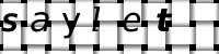 CAPTCHA-Bild