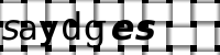 CAPTCHA-Bild